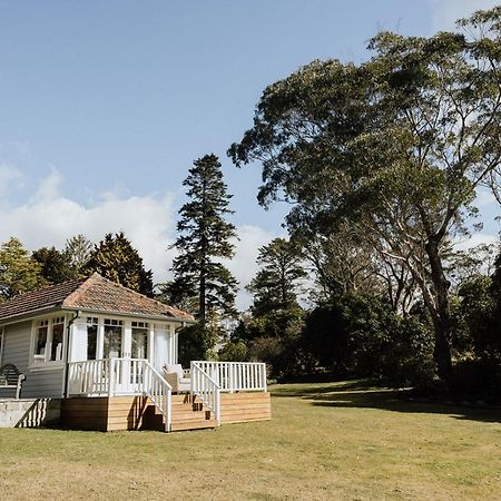 Bed and Breakfast Mount Booralee Blackheath Esterno foto